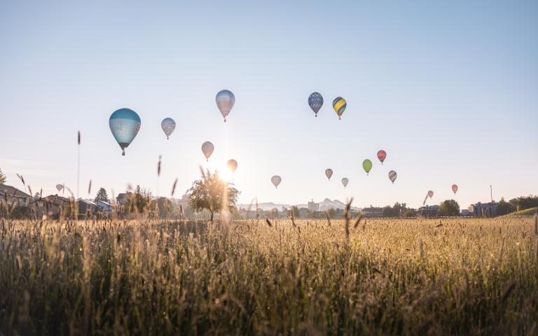 Heissluftballone über einem Feld