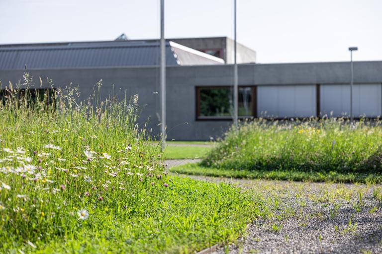 Dokumentation Biodiversität